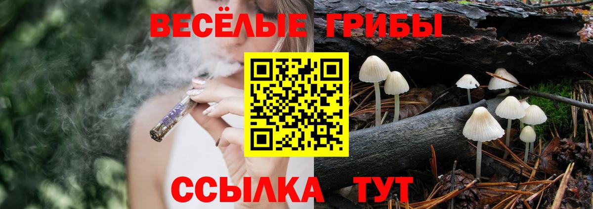 Псилоцибиновые грибы мицелий Дубна